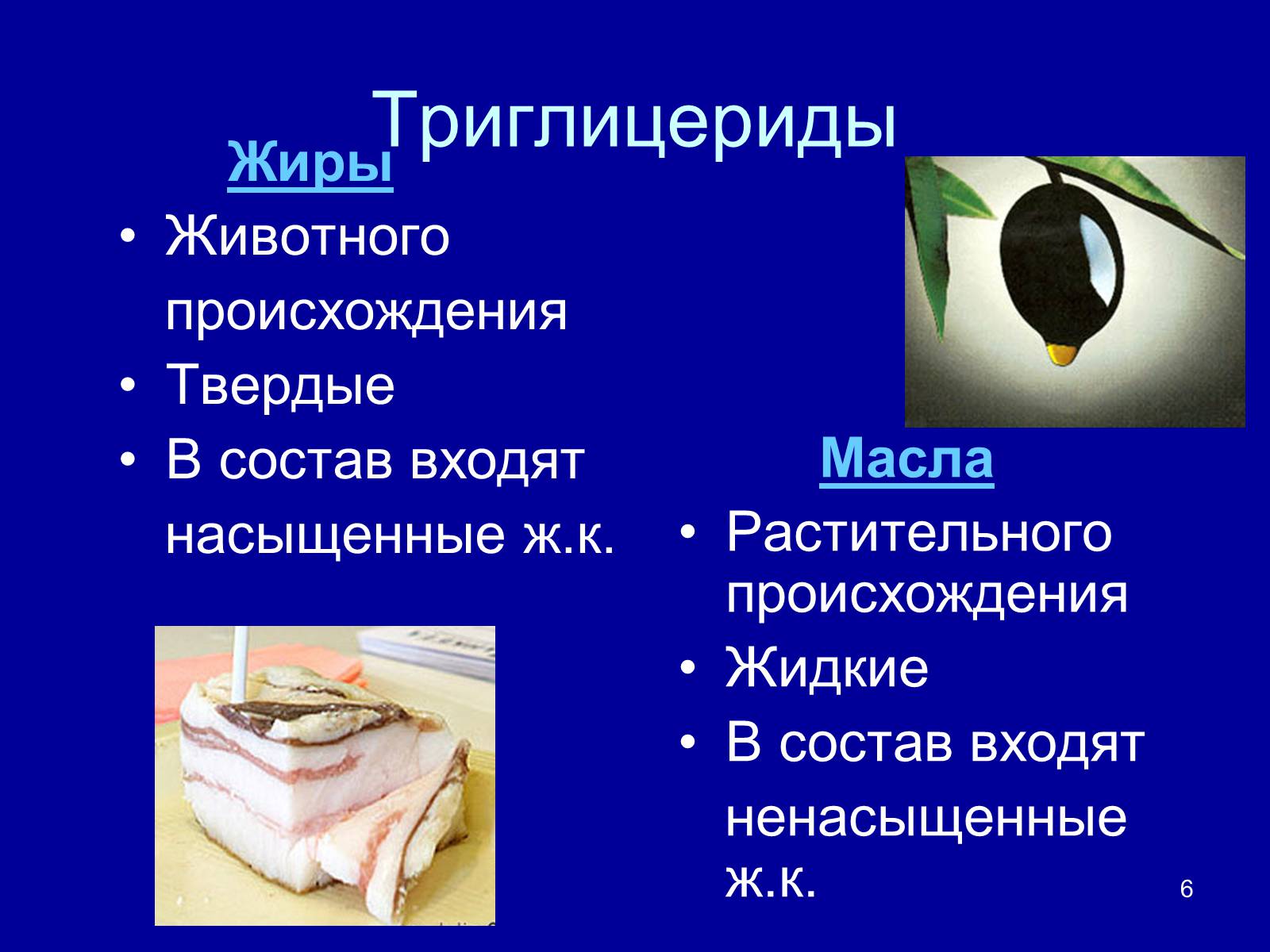 Презентація на тему «Органические вещества: липиды» - Слайд #6