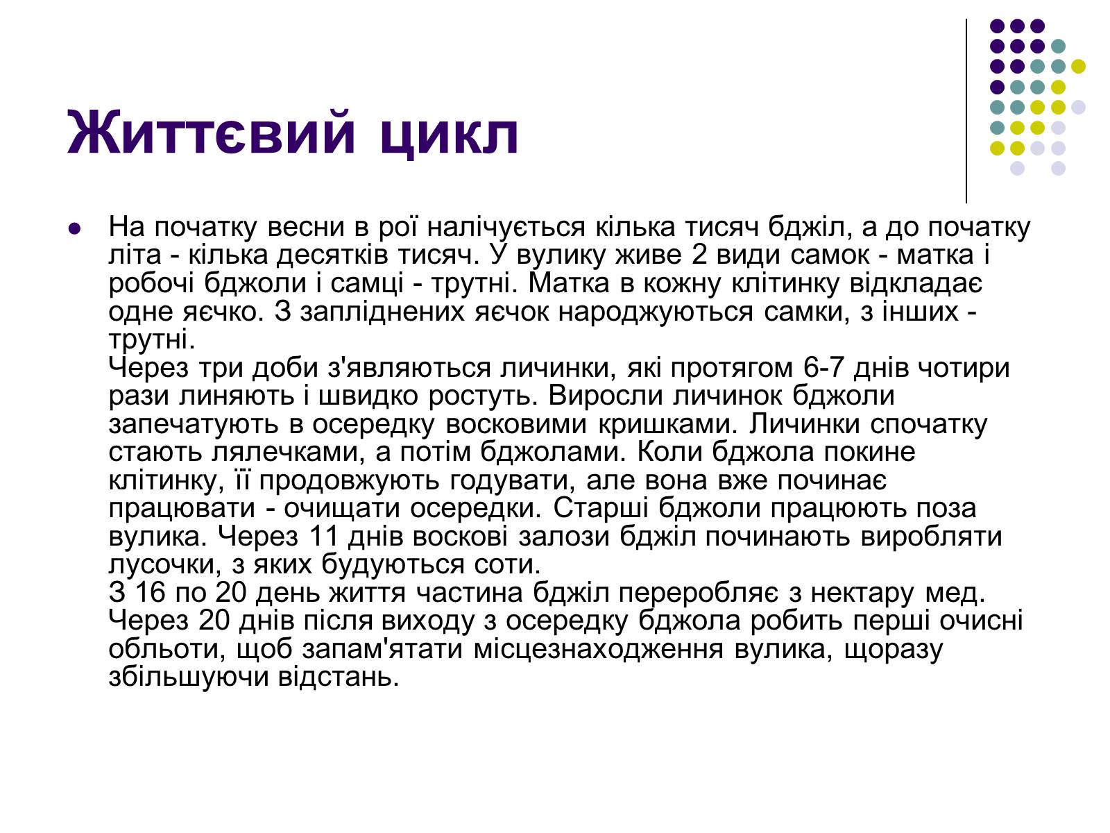 Презентація на тему «Суспільні комахи» - Слайд #8