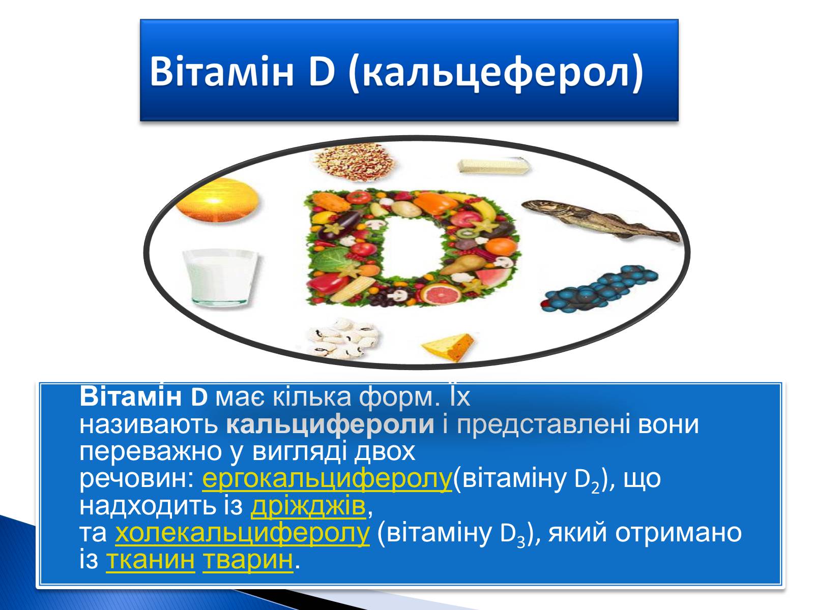 Презентація на тему «Вітаміни» (варіант 3) - Слайд #15