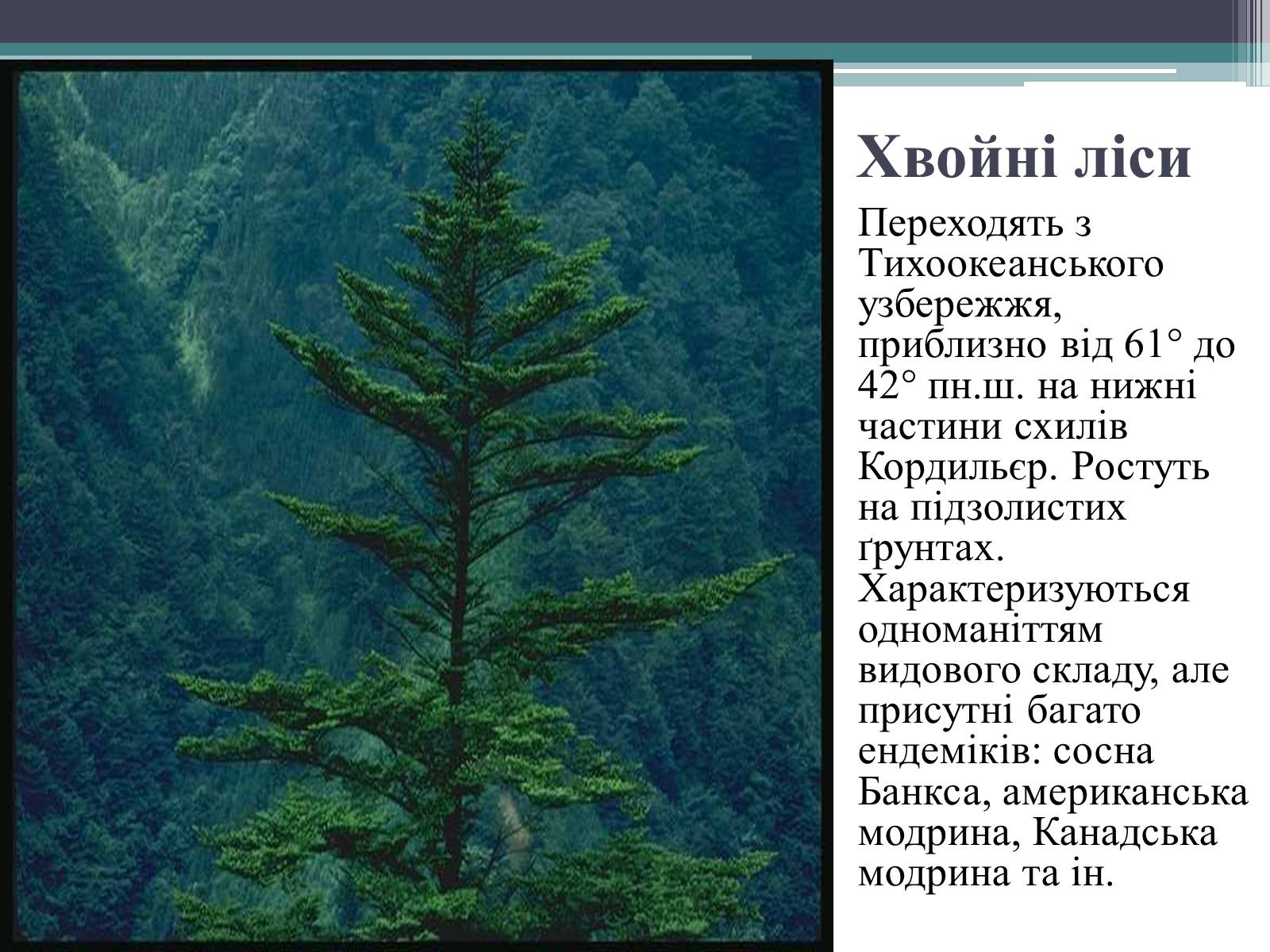 Презентація на тему «Особливості органічного світу Кордільєр» - Слайд #2