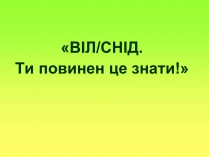 Презентація на тему «СНІД» (варіант 6)