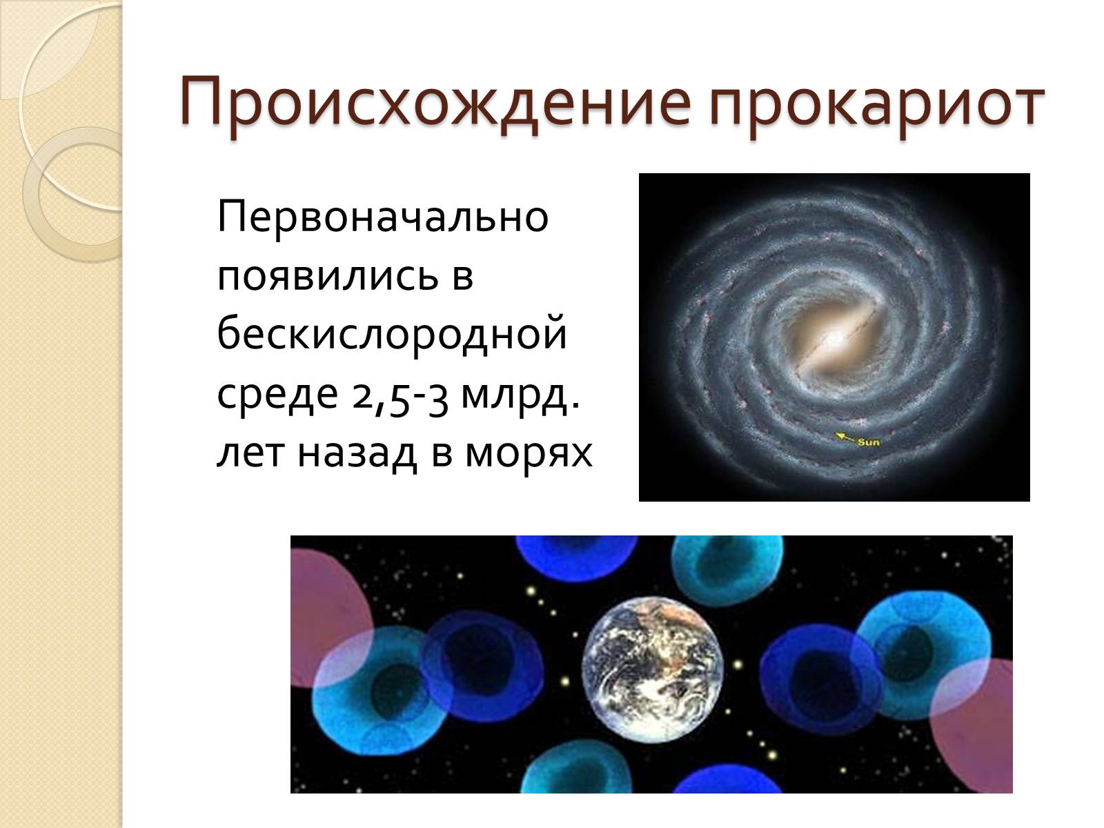 Презентація на тему «Прокариоты» (варіант 3) - Слайд #4