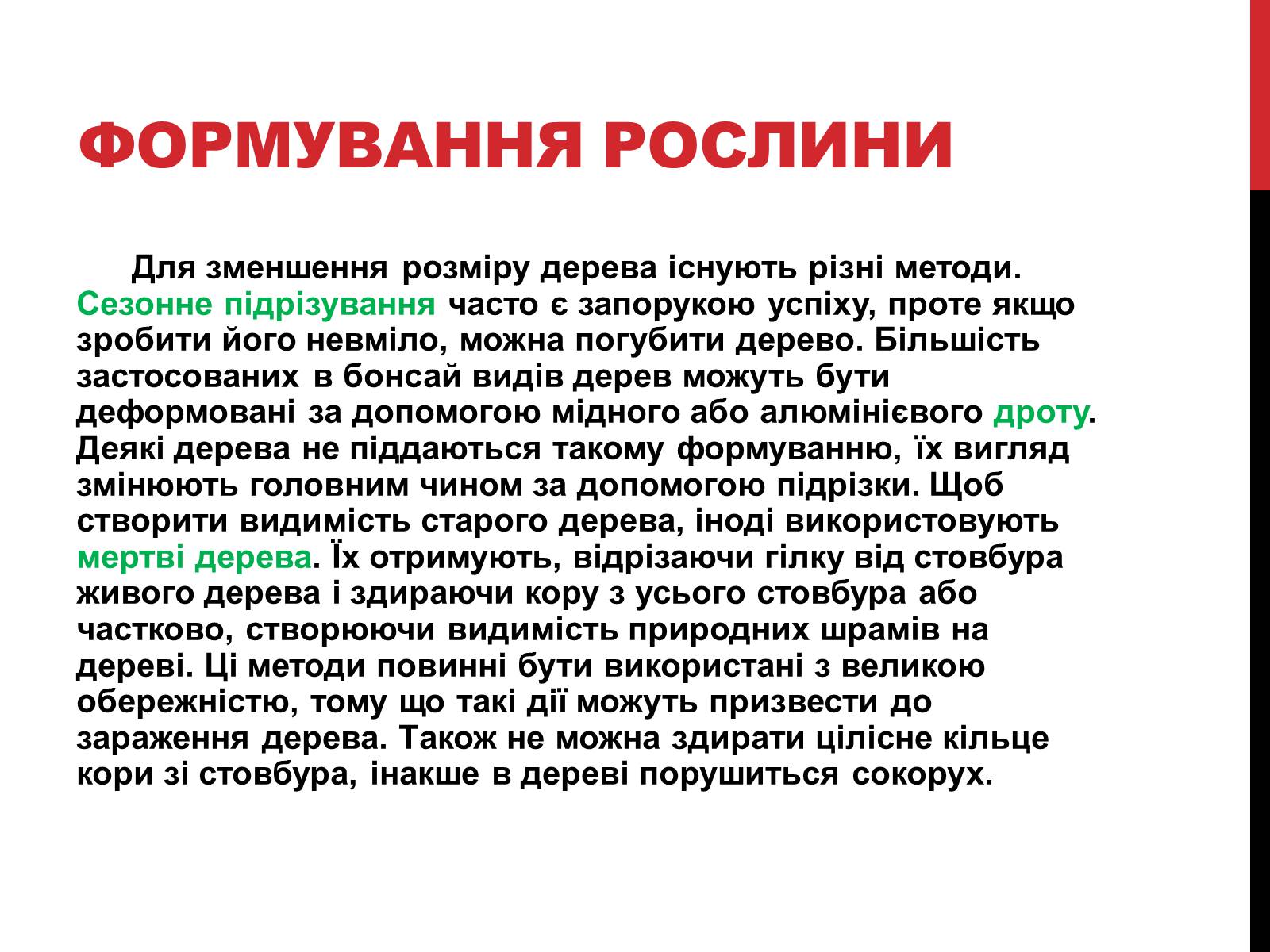 Презентація на тему «Бонсай» - Слайд #4