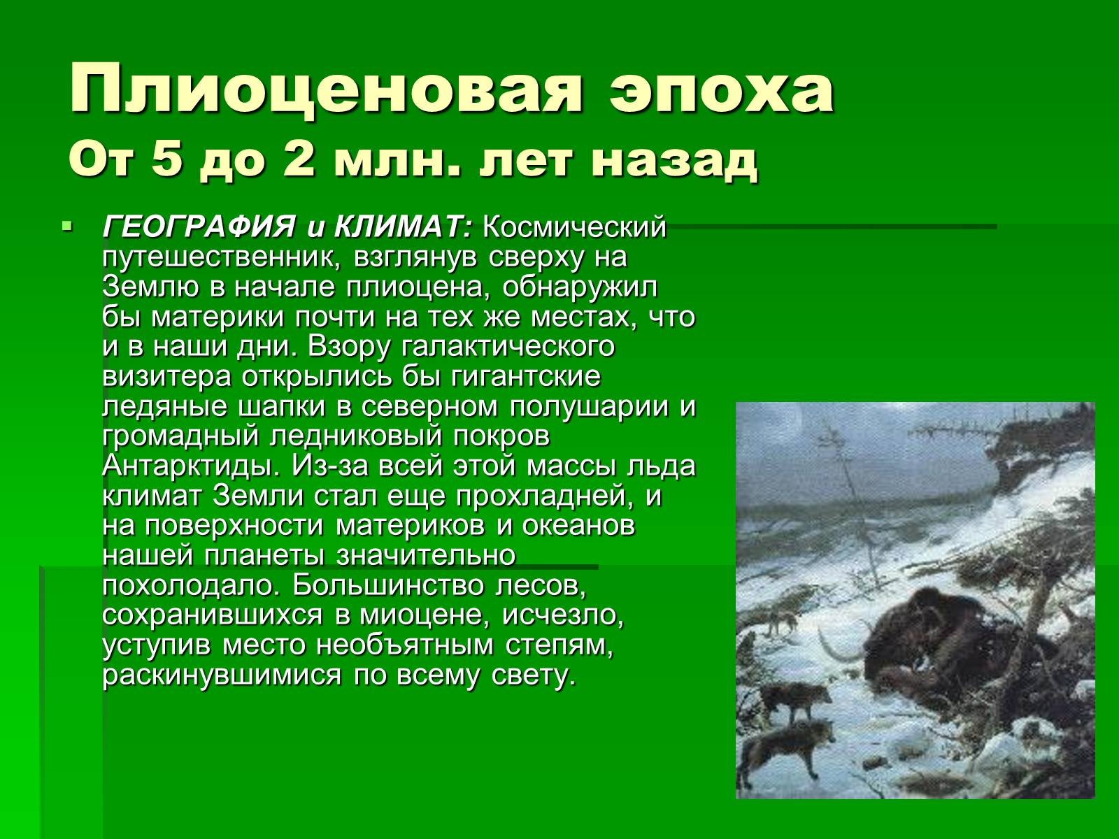 Презентація на тему «Жизнь в кайнозойскую эру» - Слайд #12