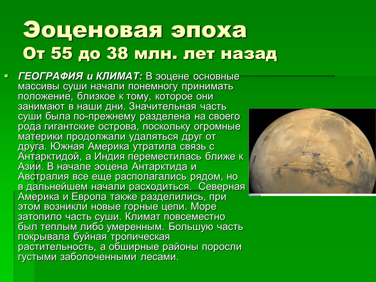 Презентація на тему «Жизнь в кайнозойскую эру» - Слайд #6