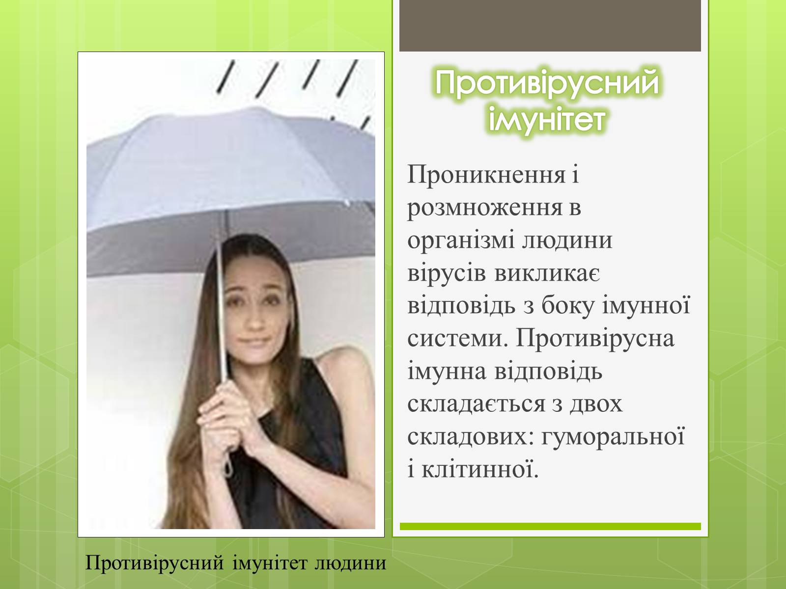 Презентація на тему «Роль вірусів в житті людини» - Слайд #10