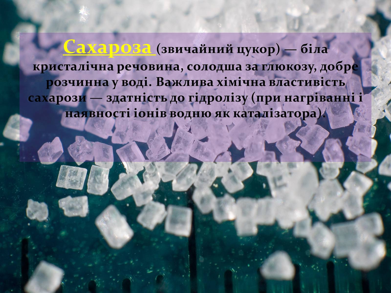 Презентація на тему «Вуглеводи як компоненти їжі, їх роль у житті людини» (варіант 17) - Слайд #14