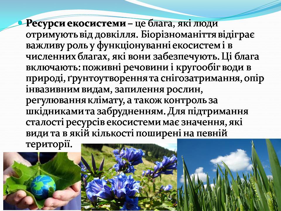 Презентація на тему «Біорізноманіття» (варіант 9) - Слайд #3