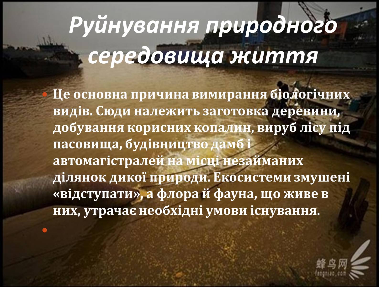 Презентація на тему «Причини і наслідки деградації біорізноманіття» (варіант 1) - Слайд #6