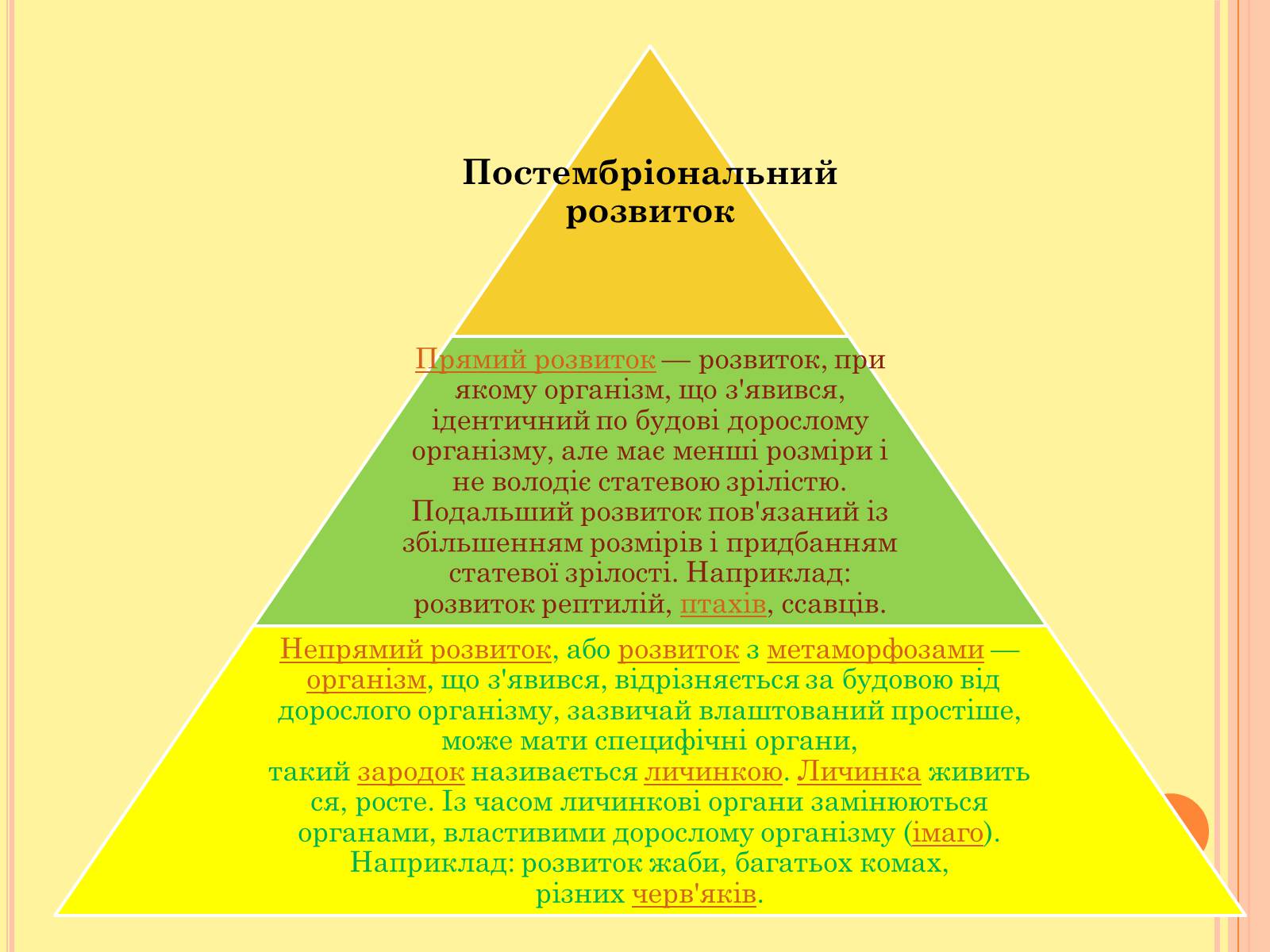 Презентація на тему «Онтогенез» (варіант 4) - Слайд #9