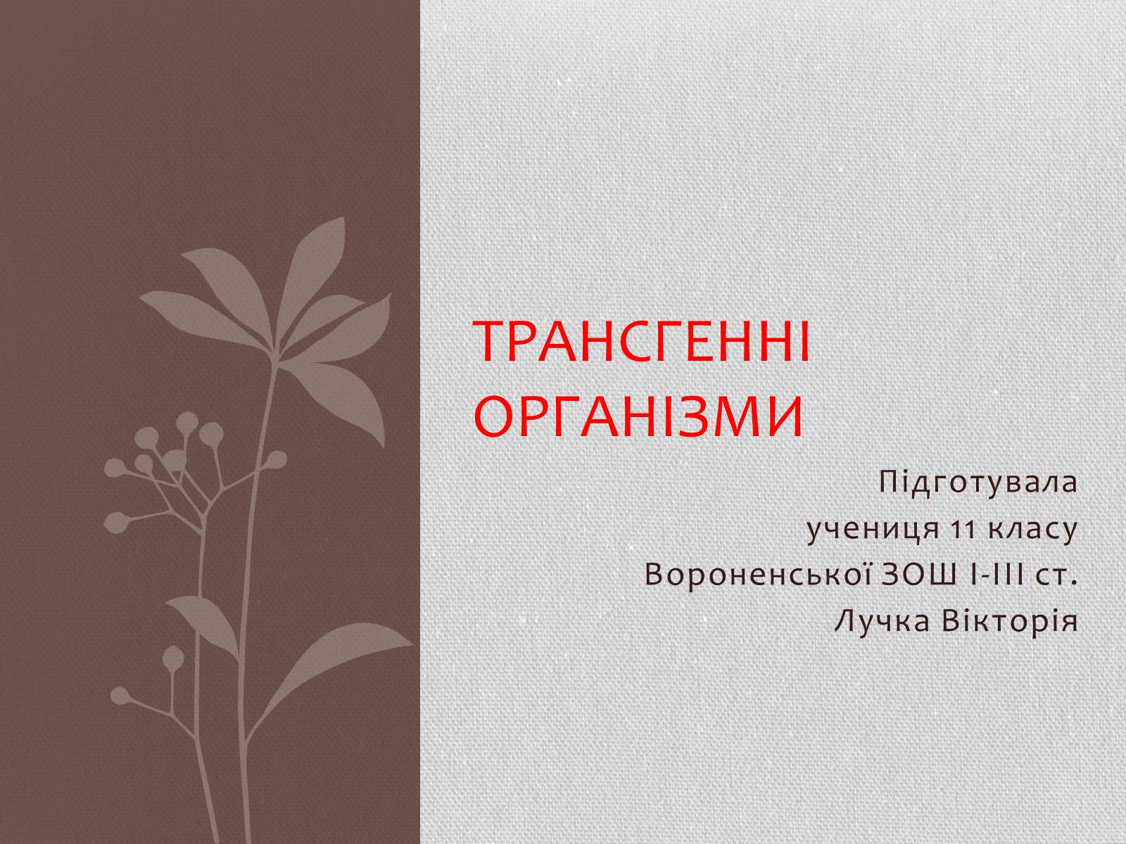 Презентація на тему «Трансгенні організми» (варіант 5) - Слайд #1