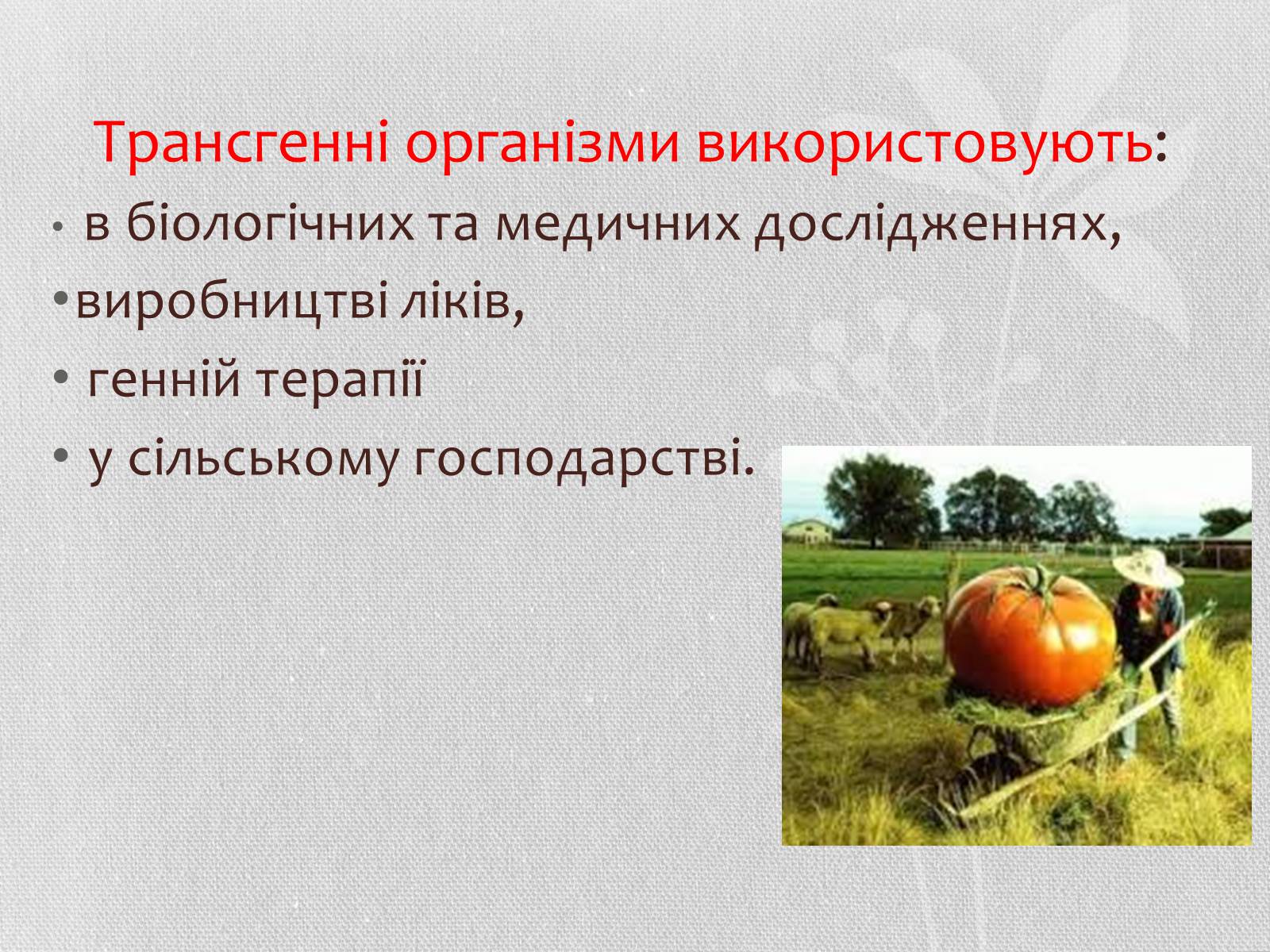 Презентація на тему «Трансгенні організми» (варіант 5) - Слайд #4