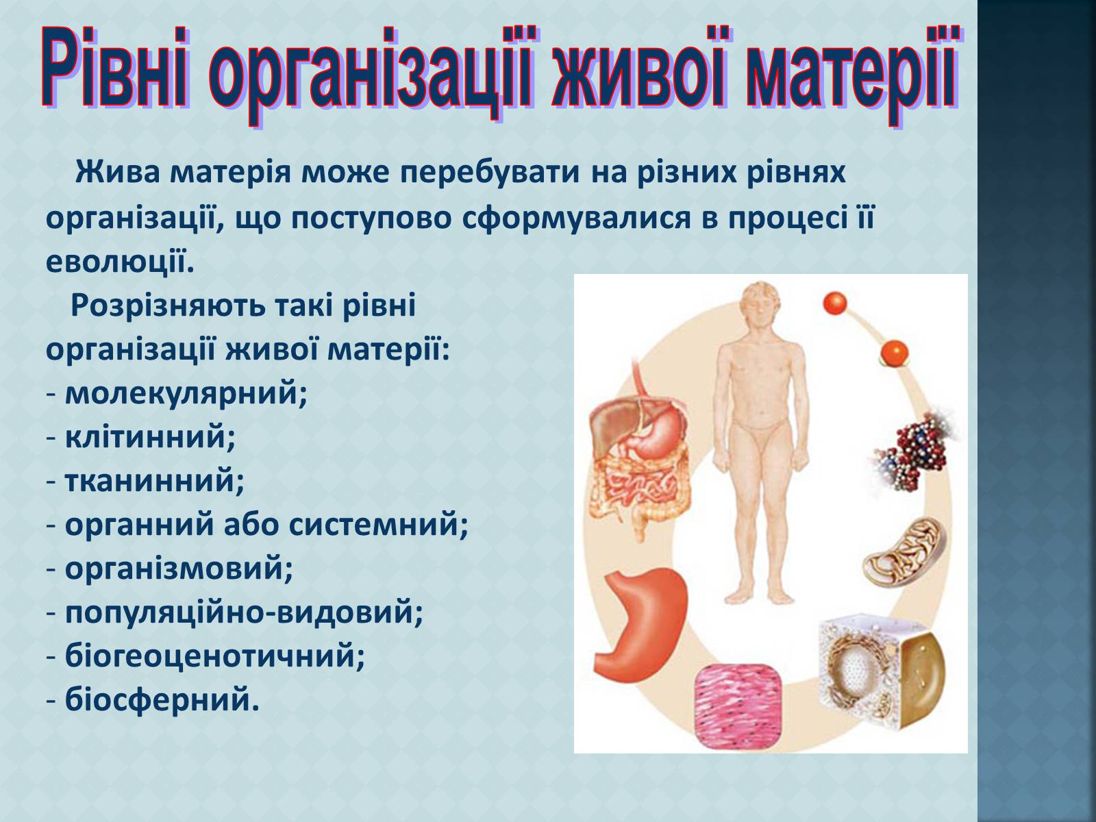 Презентація на тему «Урбанізація та її наслідки» (варіант 3) - Слайд #3