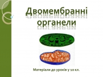 Презентація на тему «Двомембранні органели» (варіант 2)