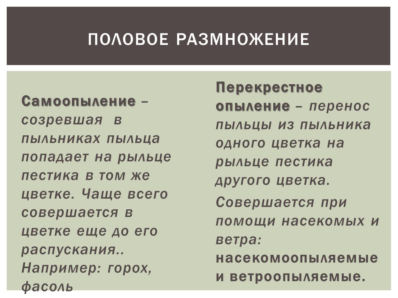 Презентація на тему «Размножение растений» - Слайд #4