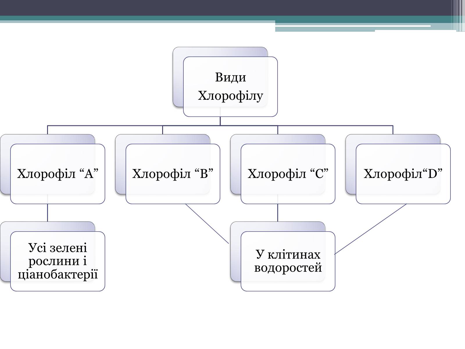 Презентація на тему «Фотосинтез» (варіант 8) - Слайд #4