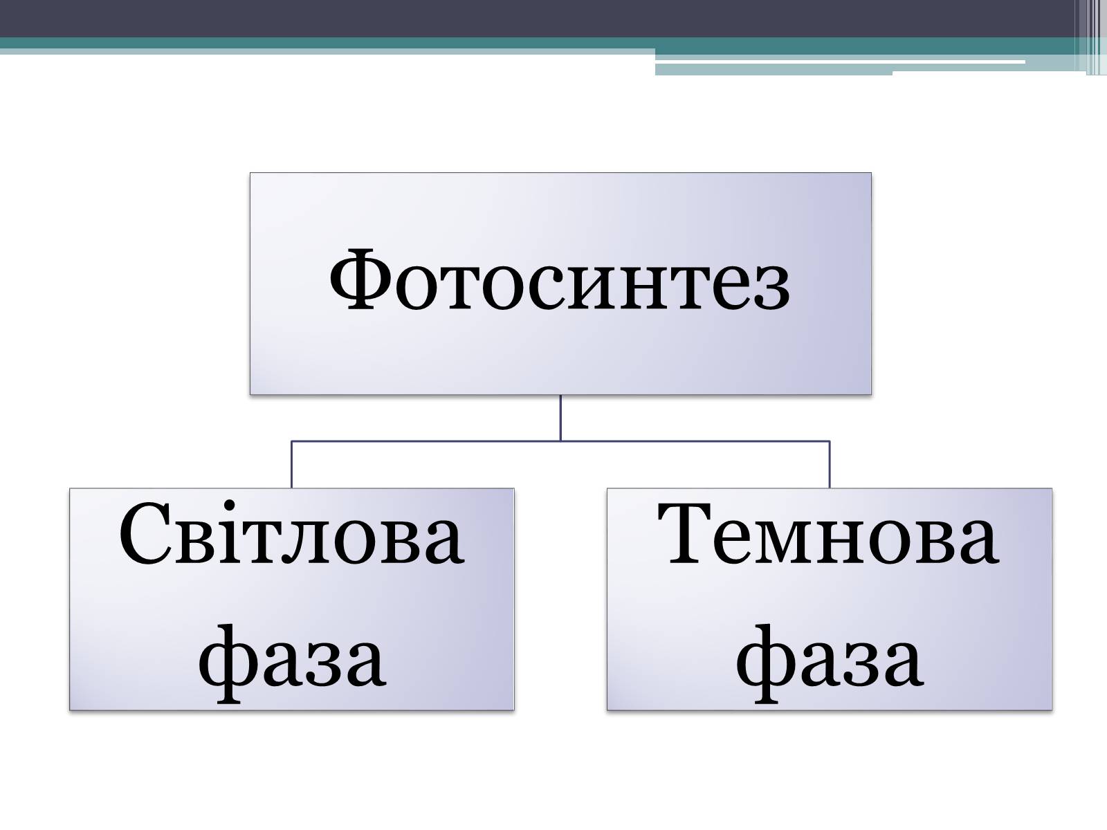 Презентація на тему «Фотосинтез» (варіант 8) - Слайд #6