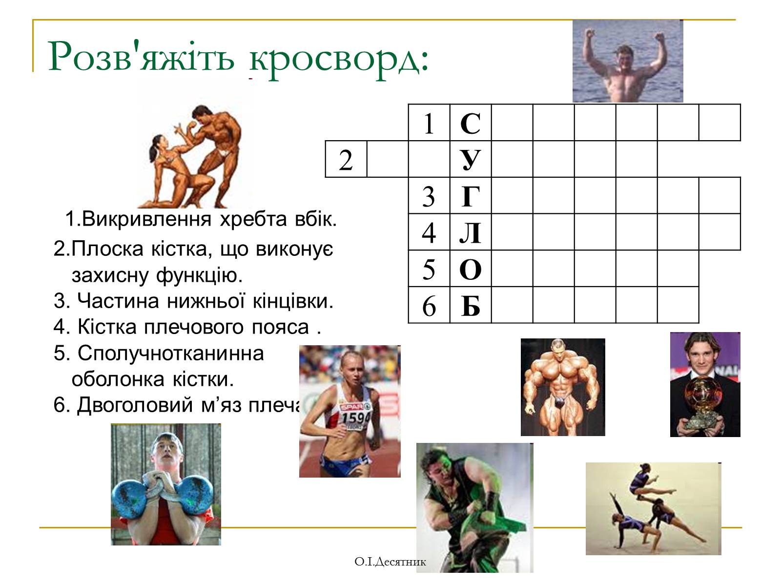 Презентація на тему «Система органів опори і руху» - Слайд #16