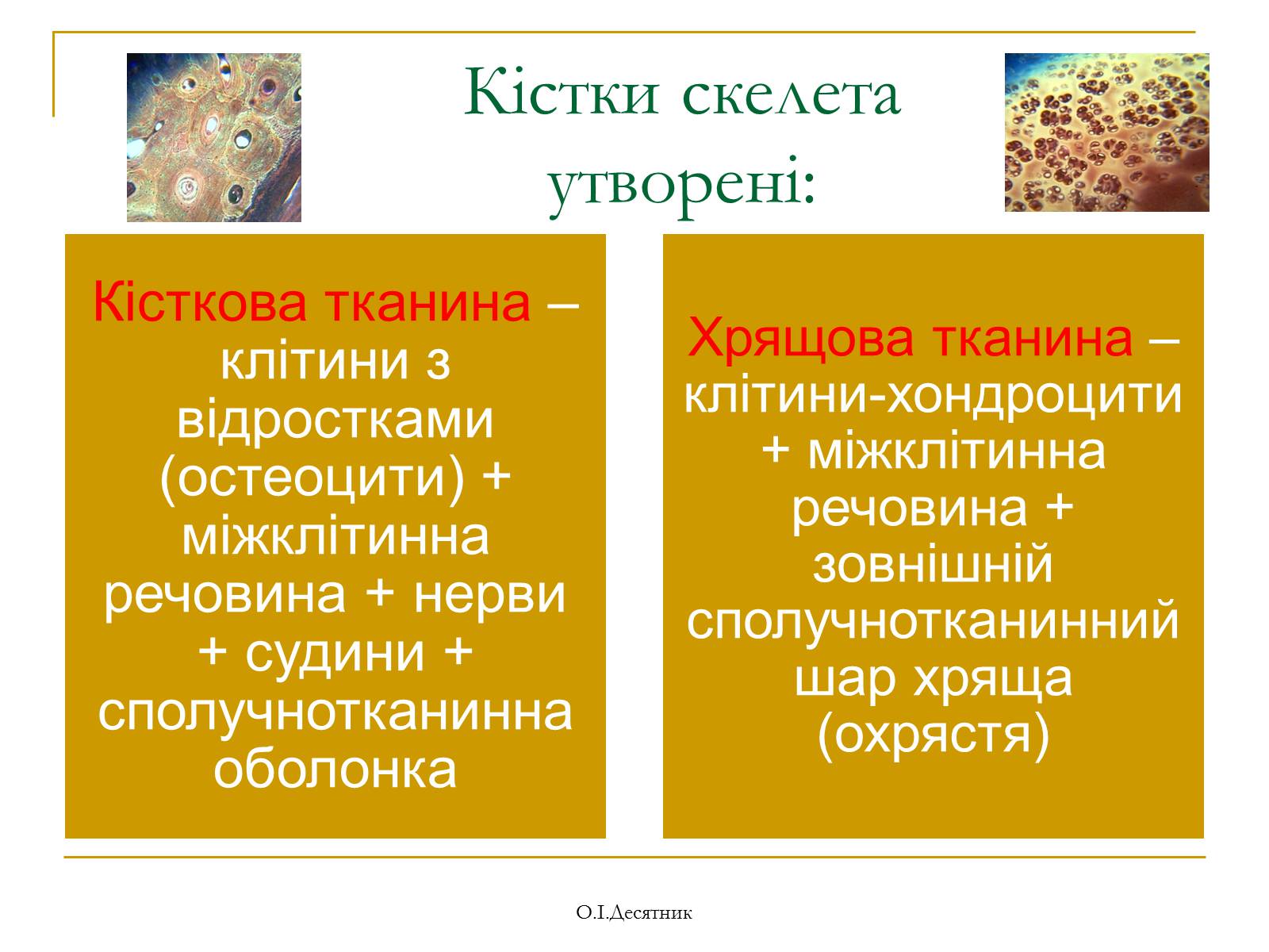 Презентація на тему «Система органів опори і руху» - Слайд #4