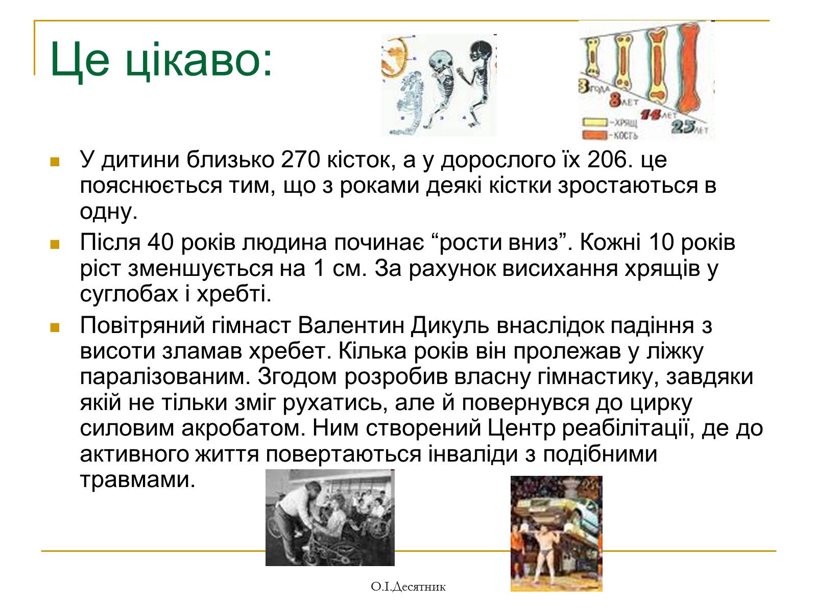 Презентація на тему «Система органів опори і руху» - Слайд #9