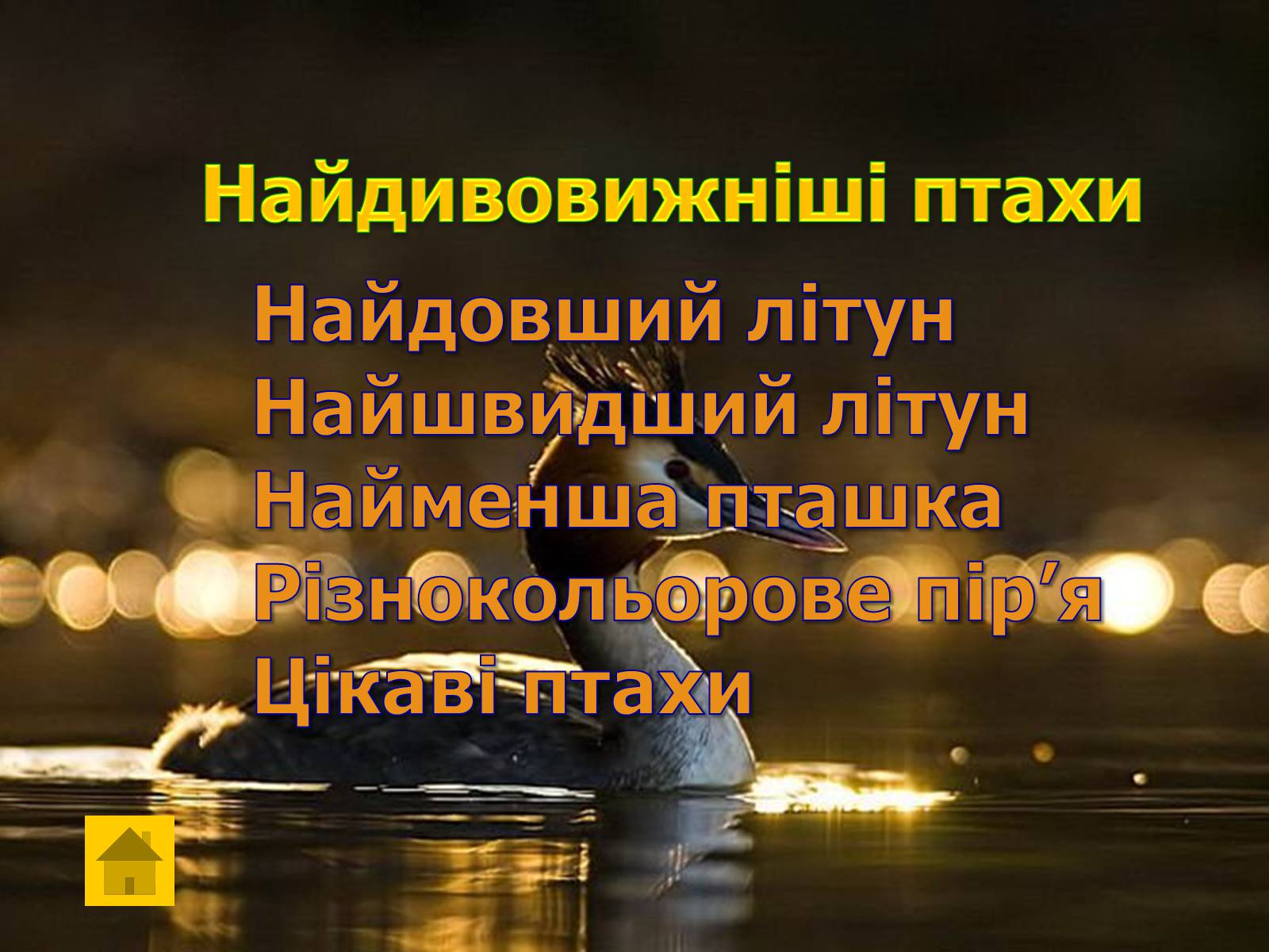 Презентація на тему «Найдивовижніші істоти нашої планети» - Слайд #9