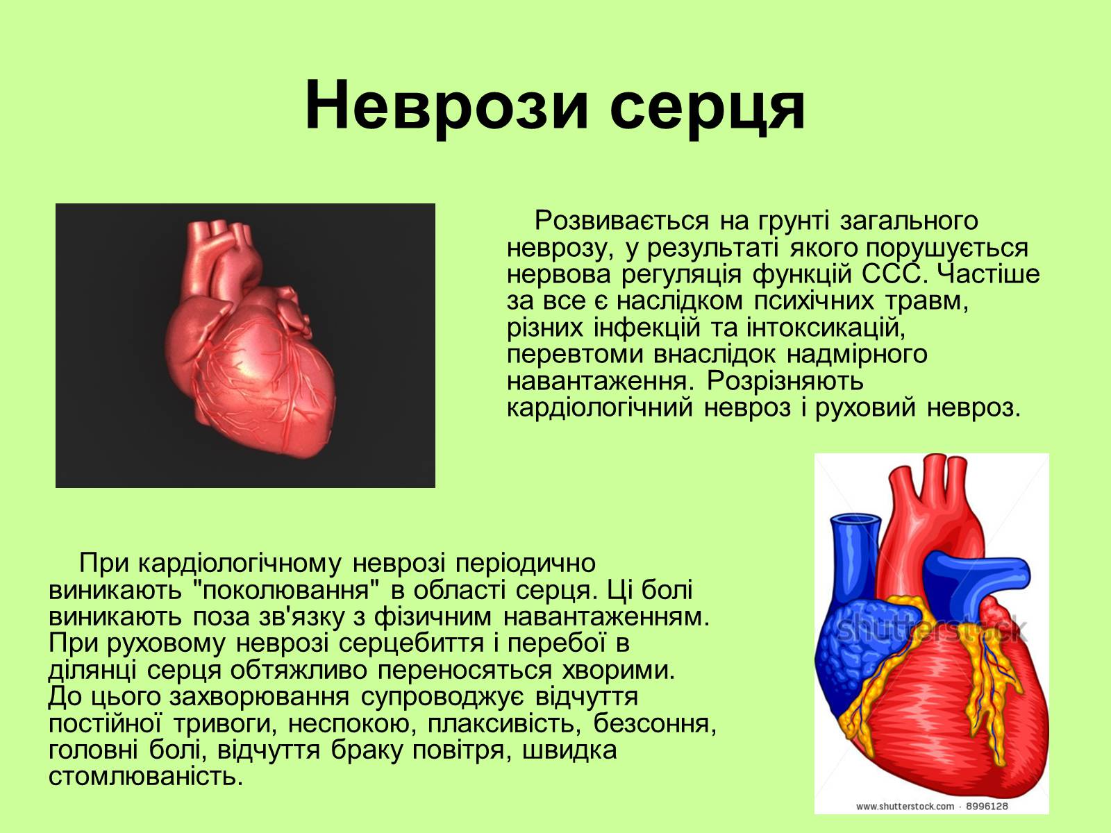 Невроз сердца. Функциональные неврозы сердца. Неврастения сердца симптомы. Сердечно сосудистая система.