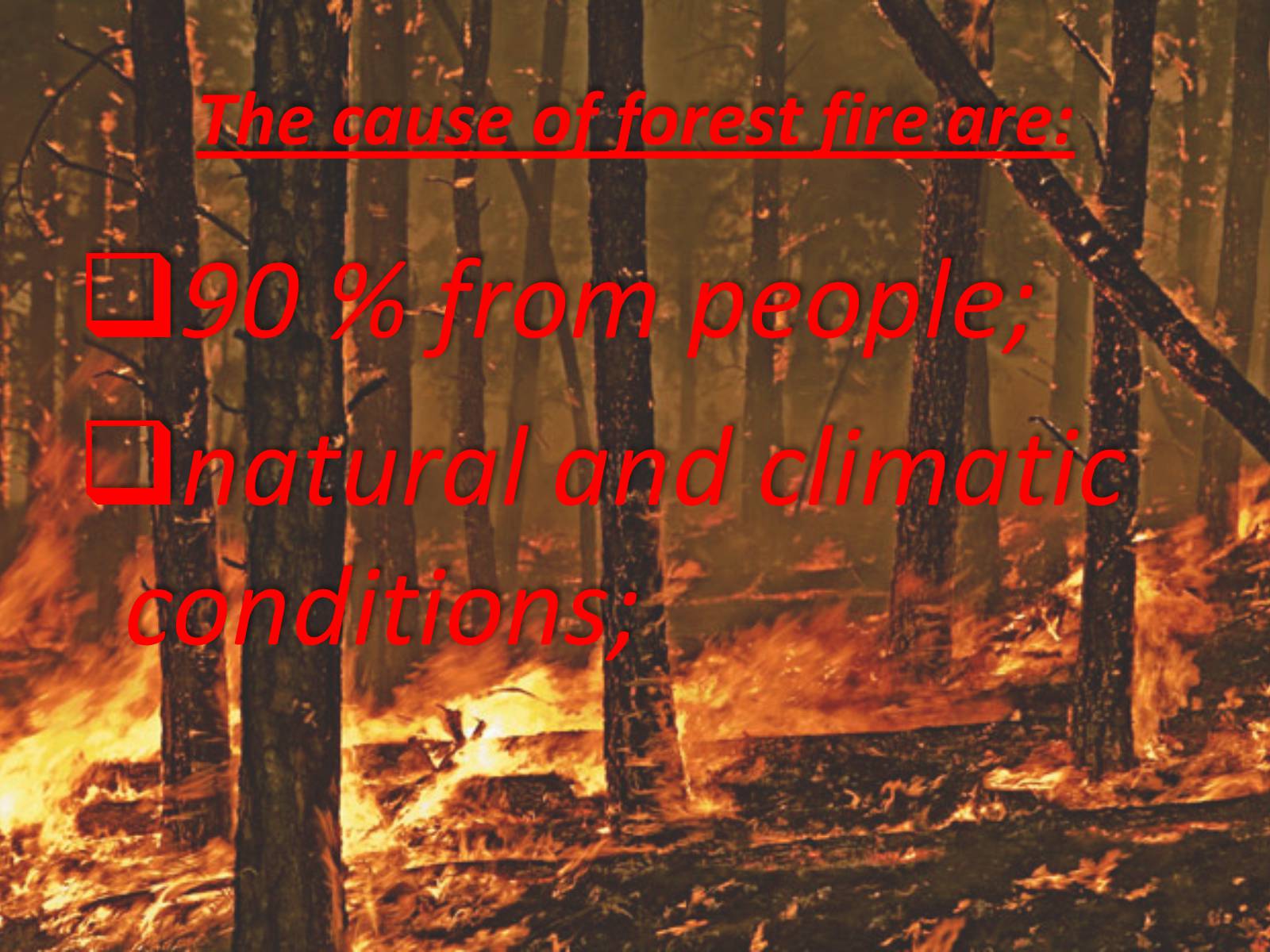 Презентація на тему «Forest fire» (варіант 1) - Слайд #2