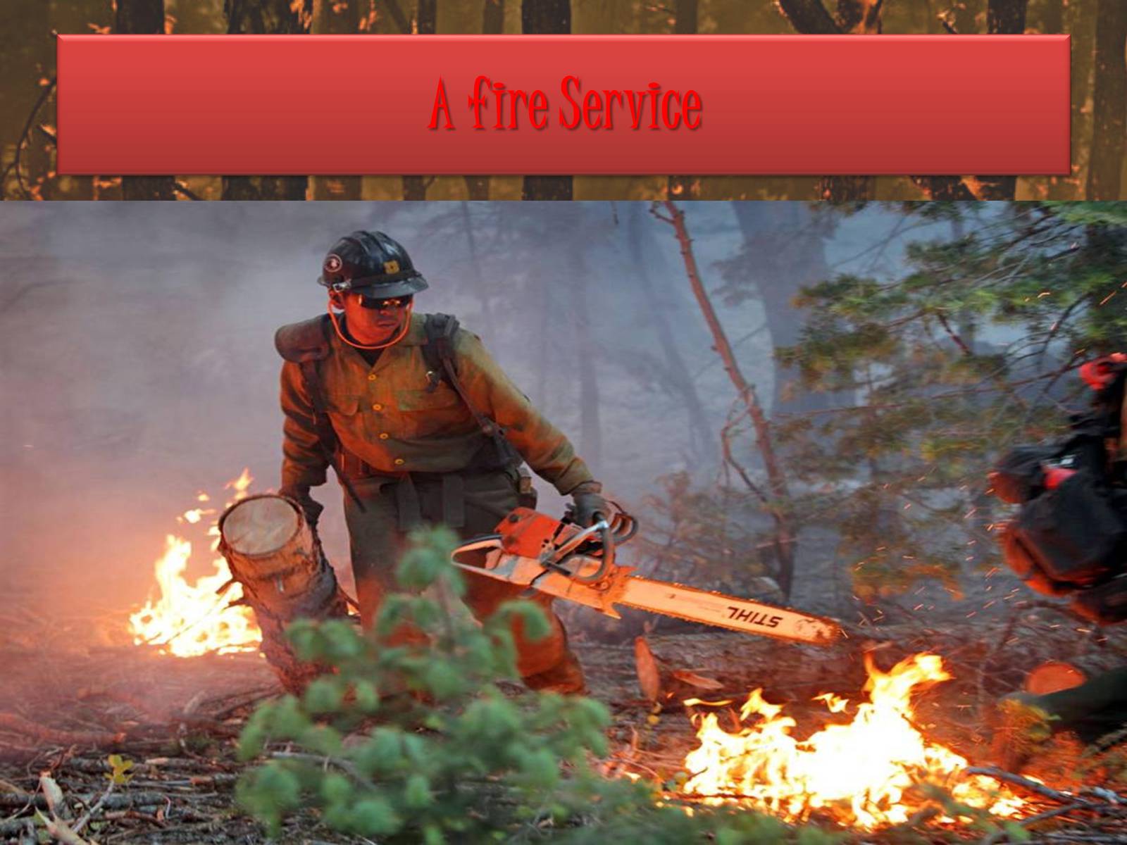 Презентація на тему «Forest fire» (варіант 1) - Слайд #5