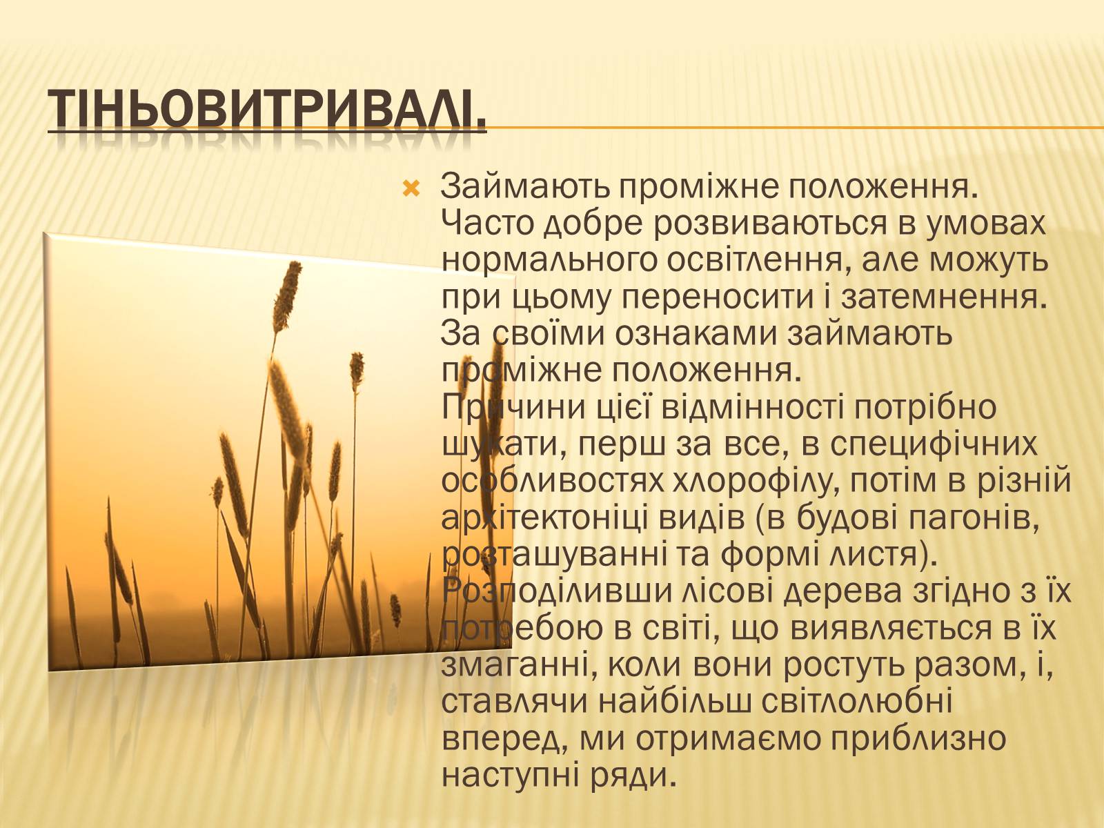 Презентація на тему «Вплив свіТла на рослини» - Слайд #14