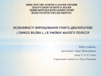 Презентація на тему «Особливості вирощування Гінкго Двоплатове»