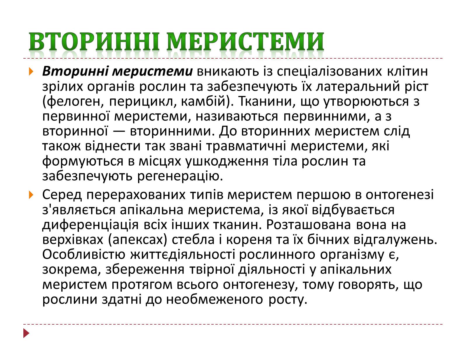 Презентація на тему «Твірна рослинна тканина» - Слайд #11