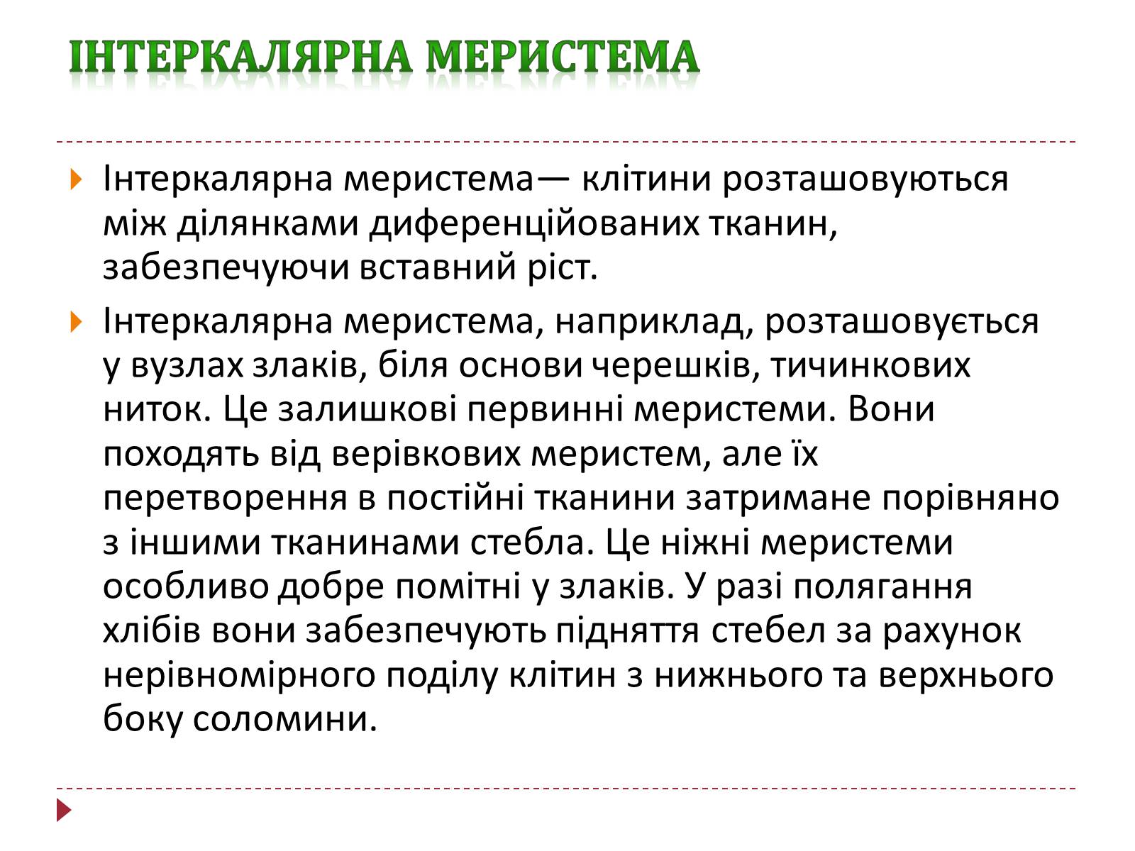 Презентація на тему «Твірна рослинна тканина» - Слайд #8