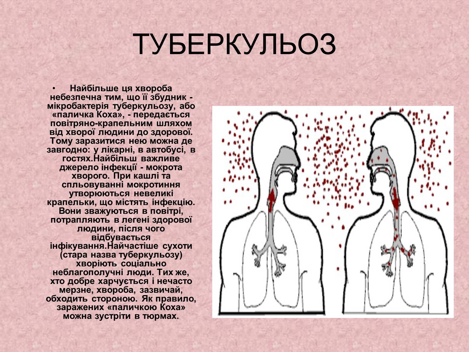 Презентація на тему «Поширення небезпечних хвороб» - Слайд #7