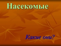 Презентація на тему «Насекомые» (варіант 3)