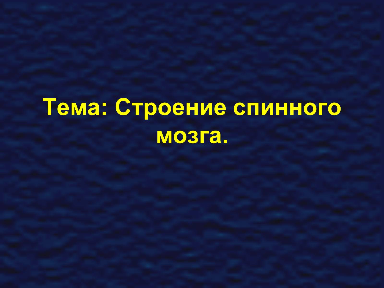 Презентація на тему «Строение спинного мозга» - Слайд #1