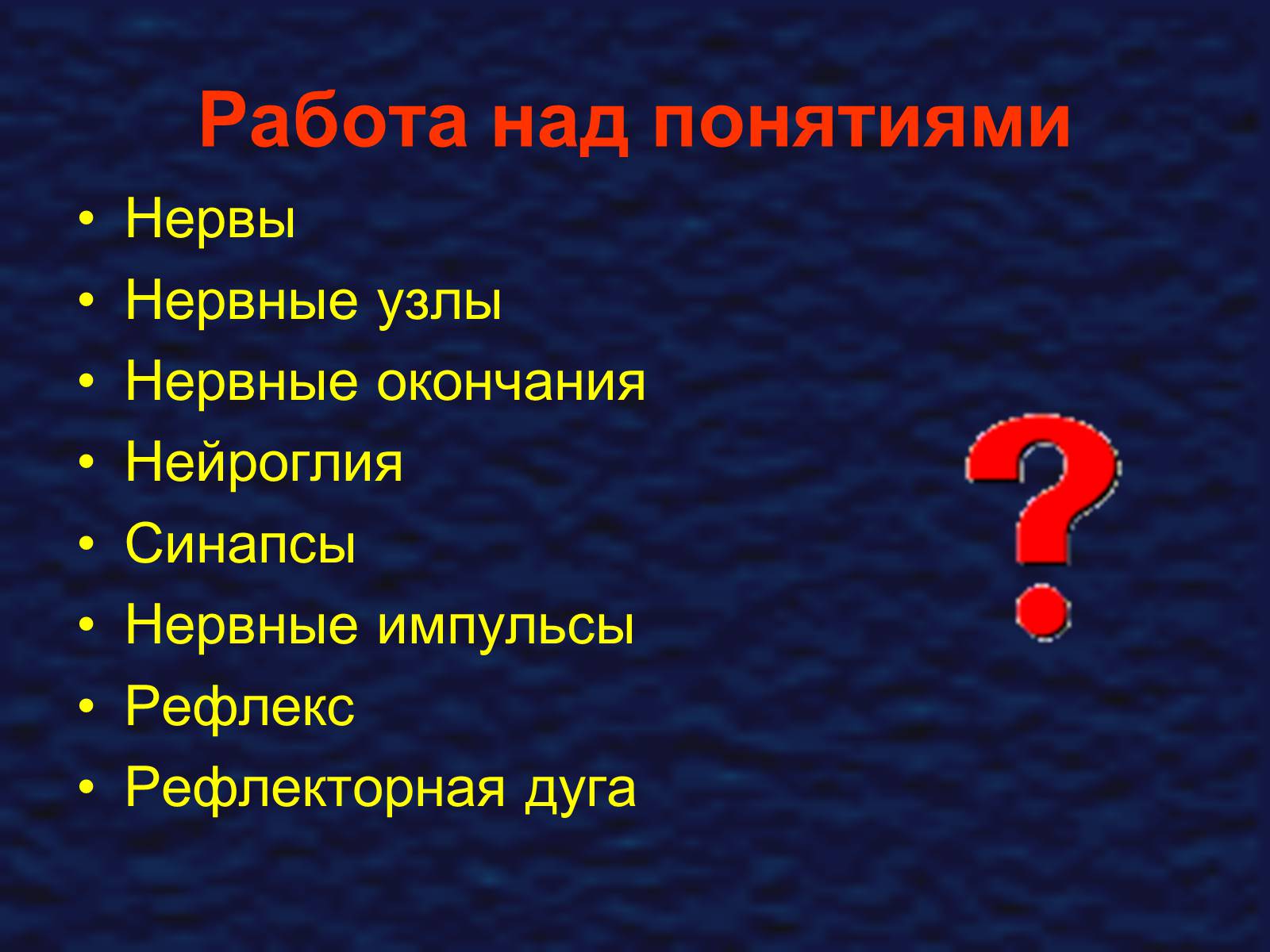 Презентація на тему «Строение спинного мозга» - Слайд #2