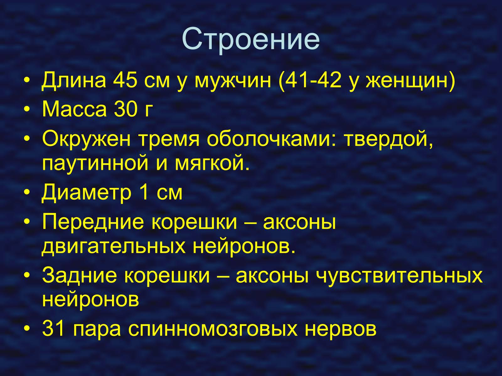 Презентація на тему «Строение спинного мозга» - Слайд #9