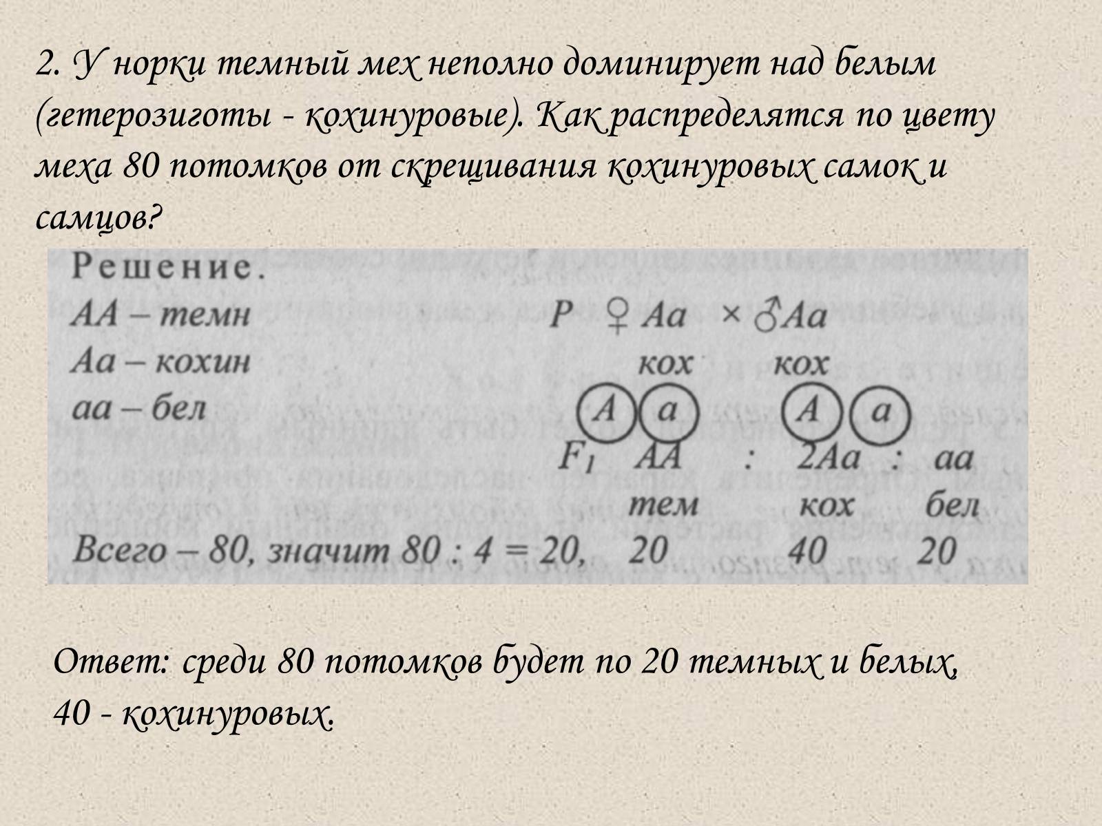 Презентація на тему «Взаимодействие аллельных генов» - Слайд #5