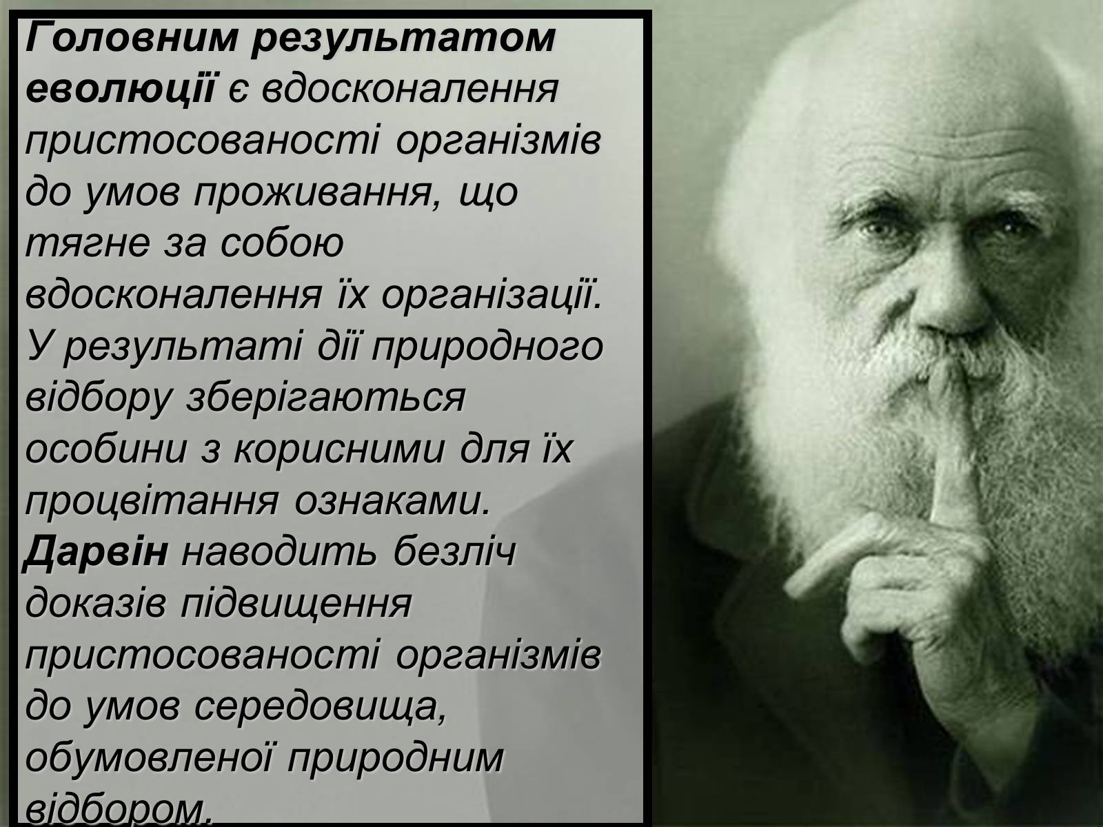 Презентація на тему «Основний результат еволюції» - Слайд #2