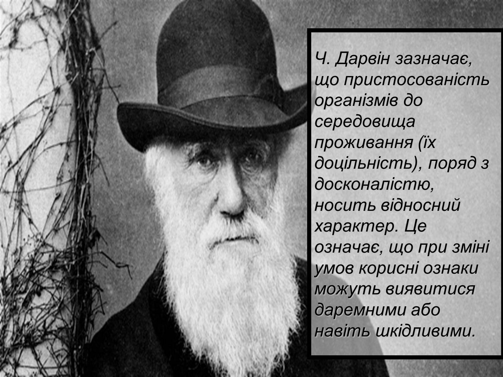 Презентація на тему «Основний результат еволюції» - Слайд #7