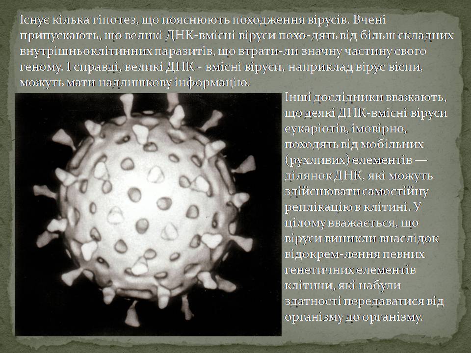 Презентація на тему «Віруси, їхня будова, життєвий цикл» (варіант 3) - Слайд #4