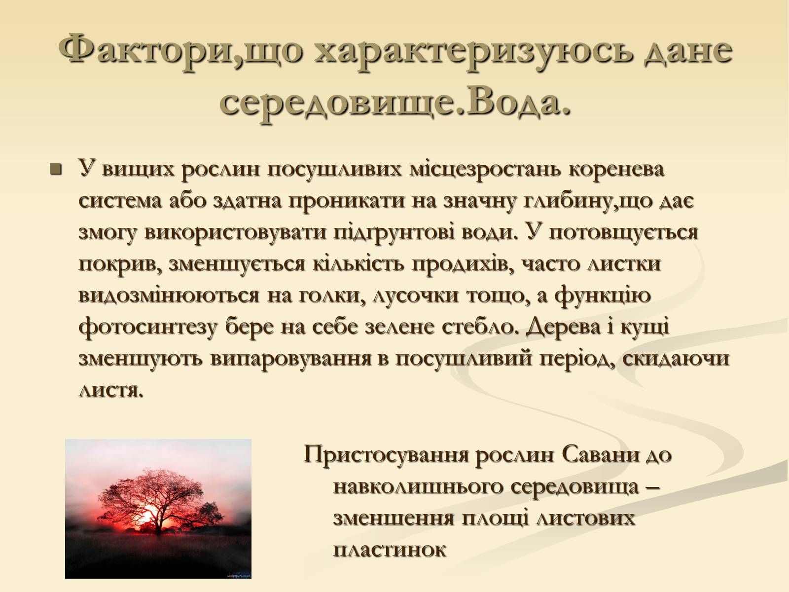 Презентація на тему «Наземно-повітряне середовище існування» (варіант 2) - Слайд #11