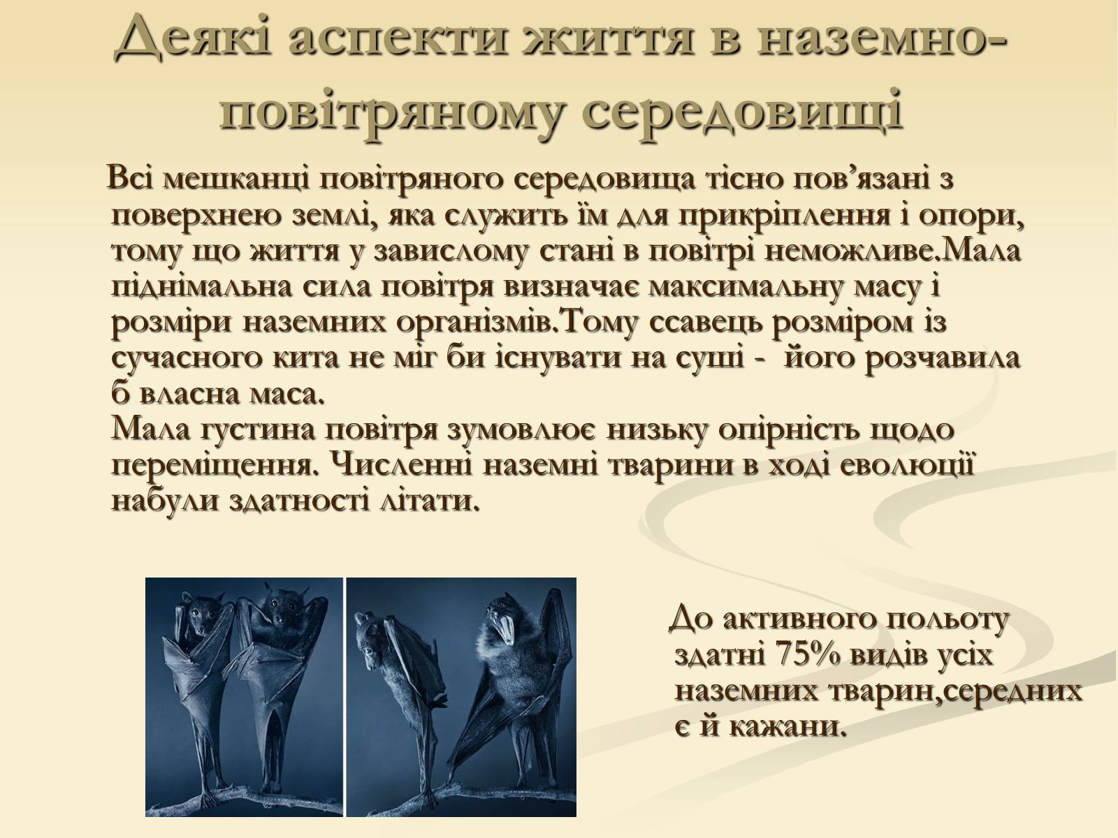 Презентація на тему «Наземно-повітряне середовище існування» (варіант 2) - Слайд #6