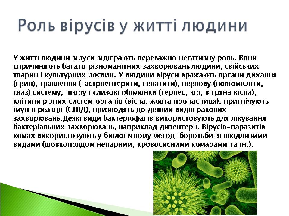 Презентація на тему «Віруси» (варіант 22) - Слайд #8