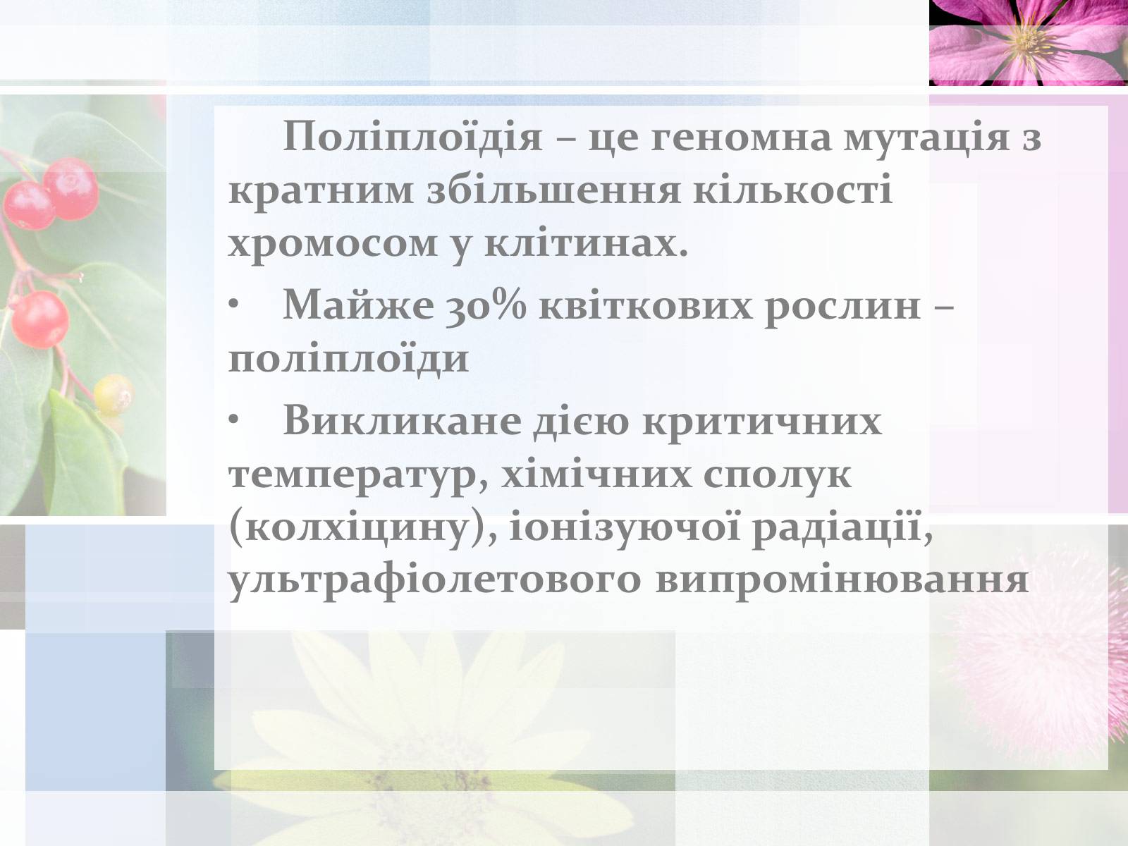 Презентація на тему «Поліплоїдія» - Слайд #2