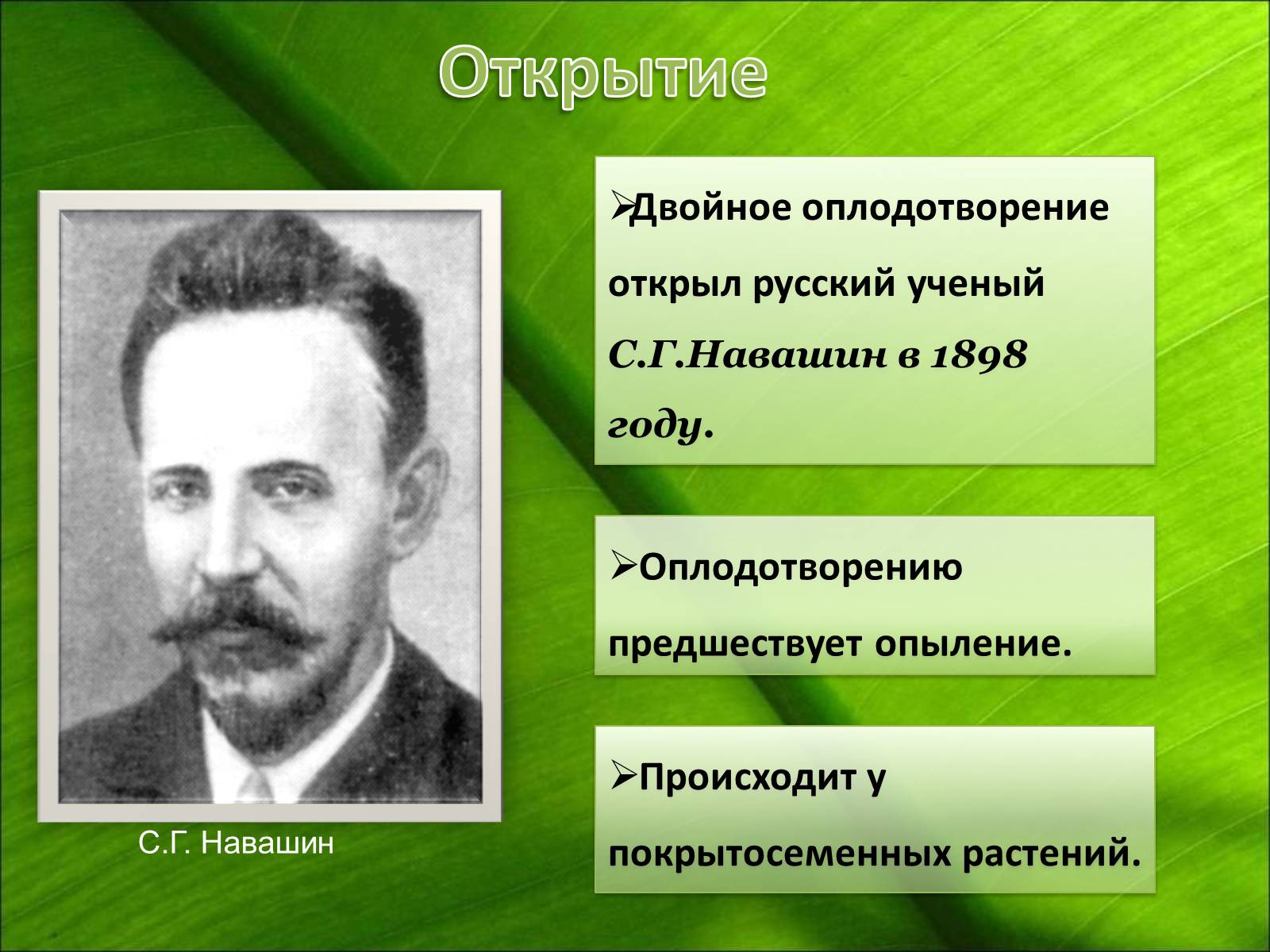 Презентація на тему «Двойное оплодотворение» - Слайд #2