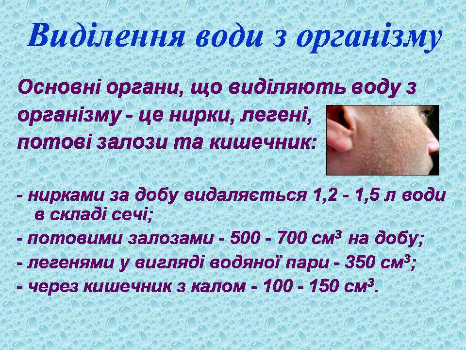 Презентація на тему «Вода в організмах» (варіант 3) - Слайд #18