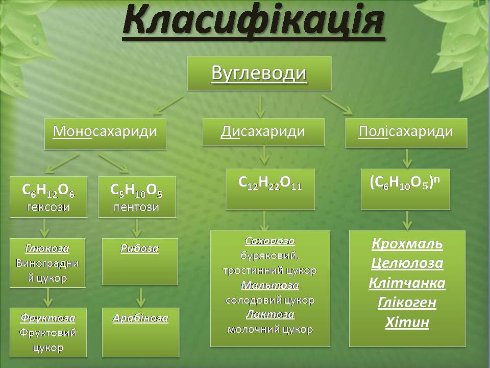 Презентація на тему «Вуглеводи як компоненти їжі, їх роль у житті людини» (варіант 38) - Слайд #3