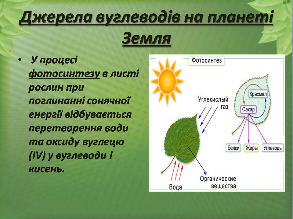 Презентація на тему «Вуглеводи як компоненти їжі, їх роль у житті людини» (варіант 38) - Слайд #4