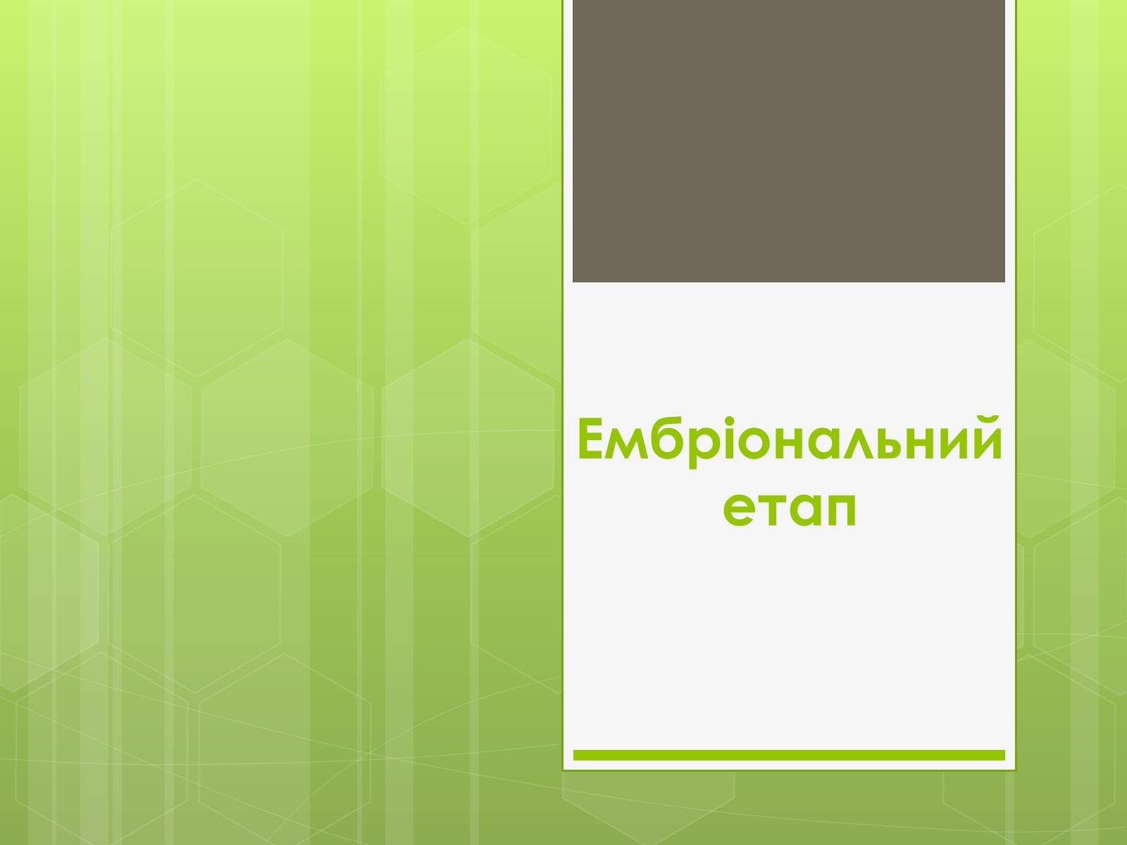 Презентація на тему «Ембріональний етап» - Слайд #1